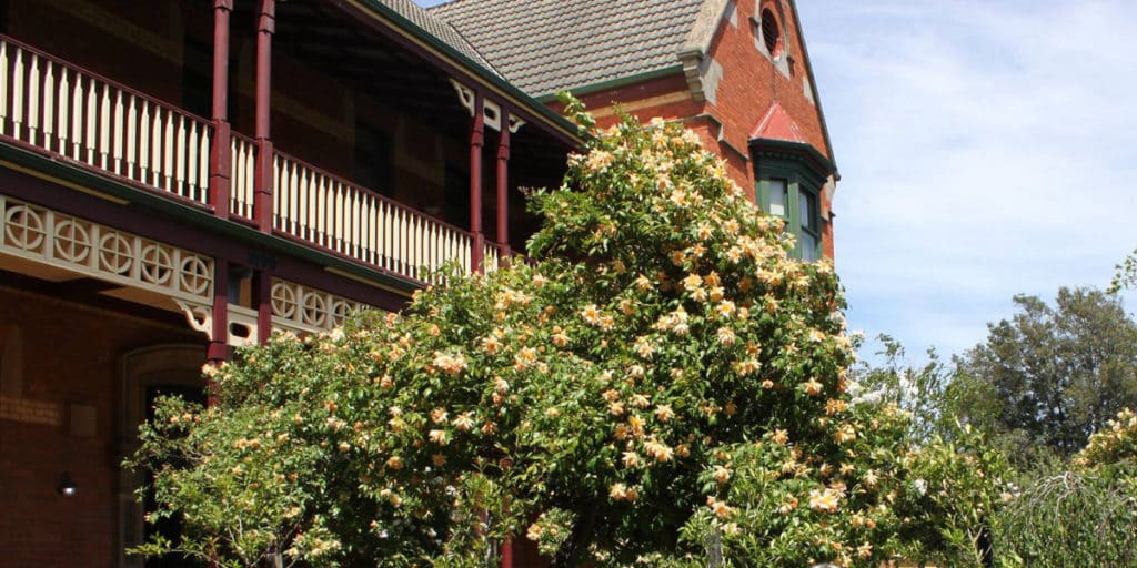 McCulloch House